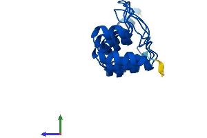 Protein Structure (PS) image for Cyclin-Dependent Kinase Inhibitor 2D (p19, Inhibits CDK4) (CDKN2D) (AA 1-166) protein (His tag) (ABIN7553163)