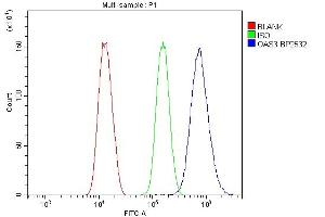 Flow Cytometry analysis of SiHa cells using anti-OAS3 antibody (ABIN7602725).