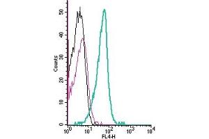Cell surface detection of GnRHR by indirect flow cytometry in live intact mouse TK1 T-cell lymphoma cells: + goat-anti-rabbit-APC.