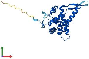 AlphaFold protein structure predicition of Mouse Recombinant Rps5 Protein, UniprotID P97461