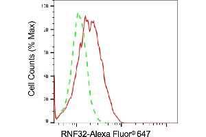 Flow cytometric analysis of RNF32 expression in Raji cells using RNF32 antibody (ABIN7800251), 1:2,000).