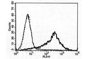 Image no. 2 for anti-Tumor Necrosis Factor (Ligand) Superfamily, Member 13 (TNFSF13) antibody (ABIN187283)