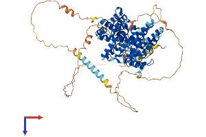 GIT2 Protein (AA 1-708) (His tag)