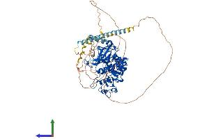 Protein Structure (PS) image for SFRS Protein Kinase 2 (SRPK2) (AA 1-681) protein (His tag) (ABIN7562408)