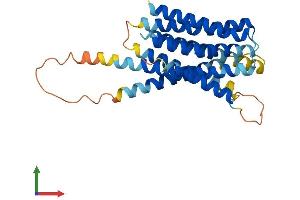 Protein Structure (PS) image for Solute Carrier Family 39 (Zinc Transporter), Member 9 (SLC39A9) (AA 1-307) protein (His tag) (ABIN7551718)