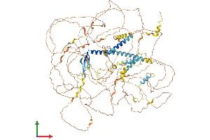 AlphaFold protein structure predicition of Human Recombinant ATN1 Protein, UniprotID P54259