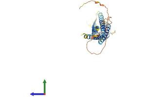 Protein Structure (PS) image for Calcium Channel, Voltage-Dependent, gamma Subunit 5 (CACNG5) (AA 1-275) protein (His tag) (ABIN7552945)