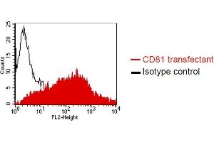 FACS analysis of Dubca cells using QV-6A8-S3 (ABIN1720914). (CD81 抗体)