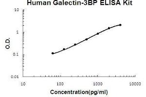 Human Galectin-3BP PicoKine ELISA Kit standard curve (LGALS3BP ELISA 试剂盒)