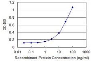 Detection limit for recombinant GST tagged MAP1LC3B is 0. (LC3B 抗体  (AA 1-125))