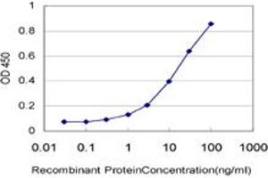 Detection limit for recombinant GST tagged NUP62 is approximately 1ng/ml as a capture antibody. (NUP62 抗体  (AA 423-522))