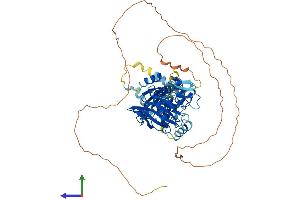 Protein Structure (PS) image for MYST Histone Acetyltransferase 2 (MYST2) (AA 1-611) protein (His tag) (ABIN7548702)
