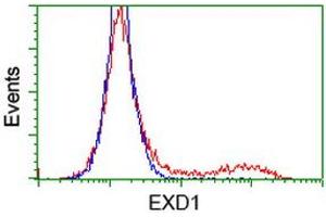 HEK293T cells transfected with either RC206223 overexpress plasmid (Red) or empty vector control plasmid (Blue) were immunostained by anti-EXD1 antibody (ABIN2453985), and then analyzed by flow cytometry. (EXD1 抗体)