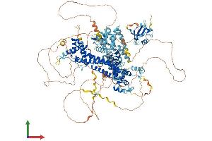 Protein Structure (PS) image for Glutamate Receptor, Ionotropic, delta 2 (Grid2) Interacting Protein (GRID2IP) (AA 1-1211) protein (His tag) (ABIN7554051)