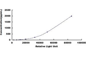ELISA image for Tumor Necrosis Factor alpha (TNF alpha) CLIA Kit (ABIN491829)