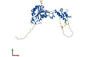 Protein Structure (PS) image for HEN1 Methyltransferase Homolog 1 (HENMT1) (AA 1-393) protein (His tag) (ABIN7548274)
