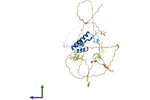 AlphaFold protein structure predicition of Mouse Recombinant Lef1 Protein, UniprotID P27782