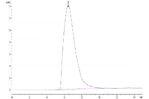 The purity of Biotinylated Human Transferrin R is greater than 95 % as determined by SEC-HPLC.