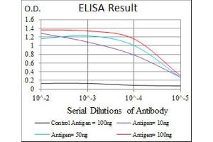 ELISA image for anti-Fibronectin 1 (FN1) antibody (ABIN1846248) (Fibronectin 1 抗体)