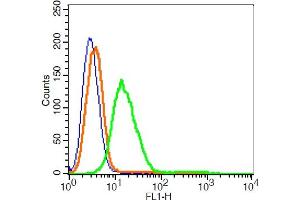 RSC96 cells probed with GPR55 Polyclonal Antibody, ALEXA FLUOR® 488 Conjugated (bs-7686R-A488) at 1:2 for 30 minutes compared to control cells (blue) and isotype control (orange). (GPR55 抗体  (AA 141-240) (Alexa Fluor 488))