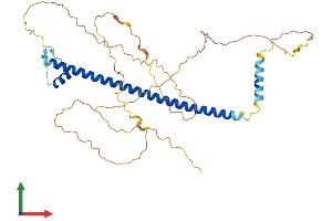 Protein Structure (PS) image for CAMP Responsive Element Binding Protein 3-Like 4 (CREB3L4) (AA 1-395) protein (His tag) (ABIN7546835)