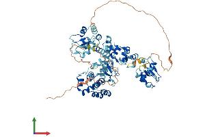 Protein Structure (PS) image for Baculoviral IAP Repeat Containing 2 (BIRC2) (AA 1-618) protein (His tag) (ABIN7552738)