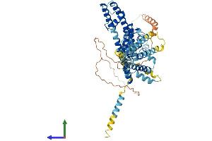 Protein Structure (PS) image for Potassium Channel, Subfamily V, Member 2 (KCNV2) (AA 1-562) protein (His tag) (ABIN7559311)