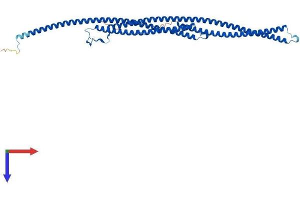 TEKT2 Protein (AA 1-430) (His tag)