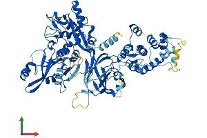 Protein Structure (PS) image for Calpain 8 (CAPN8) (AA 1-703) protein (His tag) (ABIN7559981)