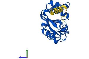 AlphaFold protein structure predicition of Mouse Recombinant Nme3 Protein, UniprotID Q9WV85 (NME3 Protein (AA 1-169) (His tag))