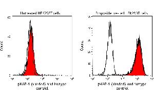 Flow Cytometry (FACS) image for anti-Tripartite Motif Containing 28 (TRIM28) (pSer824) antibody (ABIN7454038) (Recombinant KAP1 抗体  (pSer824))