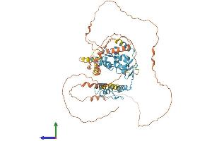 Protein Structure (PS) image for Zinc Finger and BTB Domain Containing 7A (ZBTB7A) (AA 1-584) protein (His tag) (ABIN7545428)