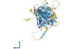 Protein Structure (PS) image for Ephrin A1 (EFNA1) (AA 1-1127) protein (His tag) (ABIN7564484)