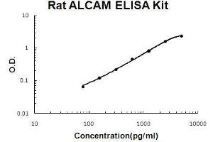 Rat ALCAM PicoKine ELISA Kit standard curve (CD166 ELISA 试剂盒)