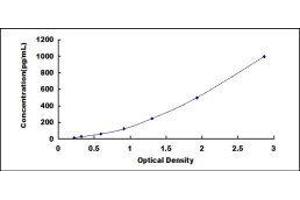 ELISA image for Regenerating Islet-Derived 3 alpha (REG3A) ELISA Kit (ABIN427639) (REG3A ELISA 试剂盒)