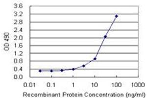 Sandwich ELISA detection sensitivity ranging from 1 ng/mL to 100 ng/mL. (HDAC3 (人) Matched Antibody Pair)