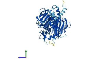 AlphaFold protein structure predicition of Human Recombinant RCBTB1 Protein, UniprotID Q8NDN9 (RCBTB1 Protein (AA 1-531) (His tag))
