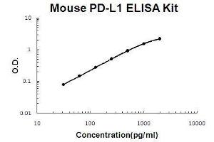 Mouse PD-L1/B7-H1 PicoKine ELISA Kit standard curve (PD-L1 ELISA 试剂盒)