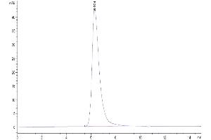 Size-exclusion chromatography-High Pressure Liquid Chromatography (SEC-HPLC) image for Nectin cell adhesion molecule 3 (NECTIN3) (AA 58-400) protein (His-Avi Tag) (ABIN7275311)