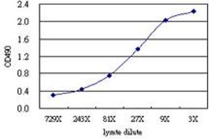 T (Human) Matched Antibody Pair