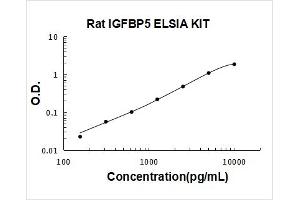 Insulin-Like Growth Factor Binding Protein 5 (IGFBP5) ELISA Kit