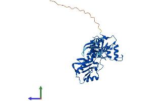Protein Structure (PS) image for NIF3 NGG1 Interacting Factor 3-Like 1 (NIF3L1) (AA 1-376) protein (His tag) (ABIN7561393)