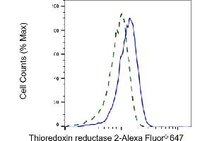 Validation of Thioredoxin reductase 2 knockdown using flow cytometry. (Recombinant TXNRD2 抗体)