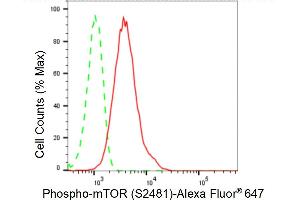 Flow cytometric analysis of Phospho-mTOR (S) expression in HepG2 cells using Phospho-mTOR (S) antibody (ABIN7799349), 1:2,000). (Recombinant MTOR 抗体  (pSer2481))