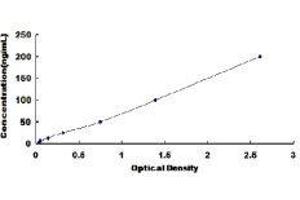 Lipase, Endothelial (LIPG) ELISA Kit