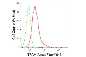 Flow cytometric analysis of TFAM expression in HT- cells using TFAM antibody (ABIN7800590), 1:2,000).