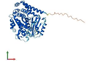 Protein Structure (PS) image for Tubulin, beta 1 (TUBB1) (AA 1-451) protein (His tag) (ABIN7544354)