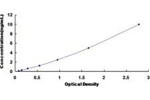 Typical standard curve (PTTG1IP ELISA 试剂盒)