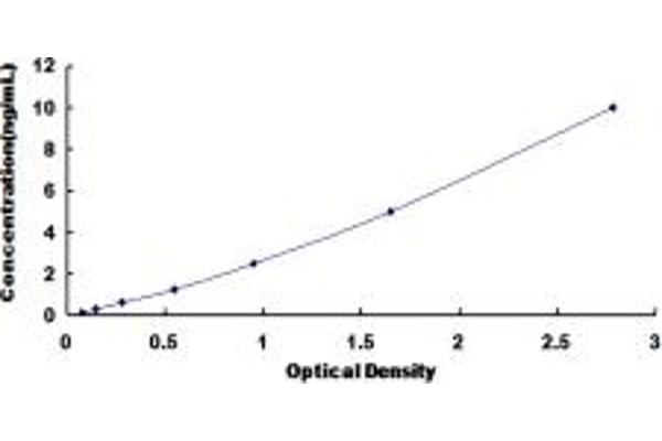 PTTG1IP ELISA 试剂盒