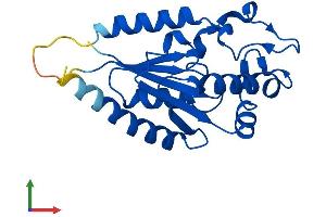 Protein Structure (PS) image for Nicotinamide Riboside Kinase 1 (NMRK1) (AA 1-199) protein (His tag) (ABIN7549926)